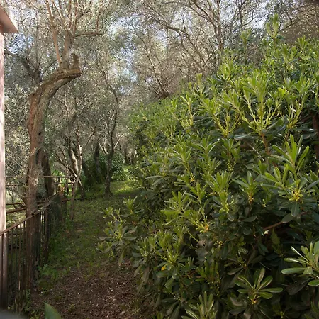 Apartmán Ca Da Giuvanna